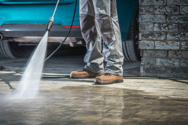 Best House Exterior Washing  in Freeland, PA