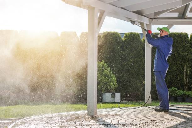 Best Warehouse Cleaning  in Freeland, PA